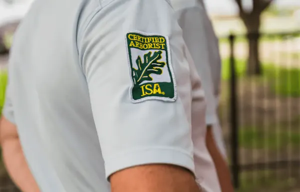 Certified Arborists