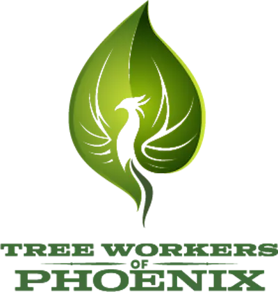 Tree Workers of Phoenix